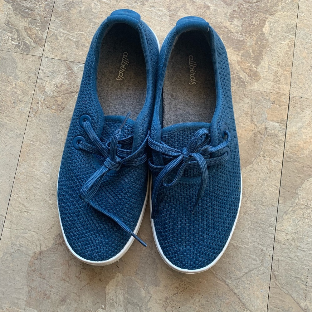 Allbirds tree skipper